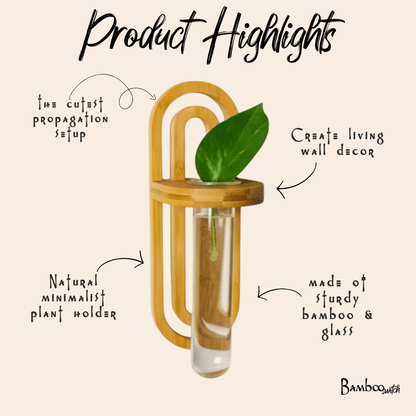 Propagation Wall Planter - Bamboo Switch