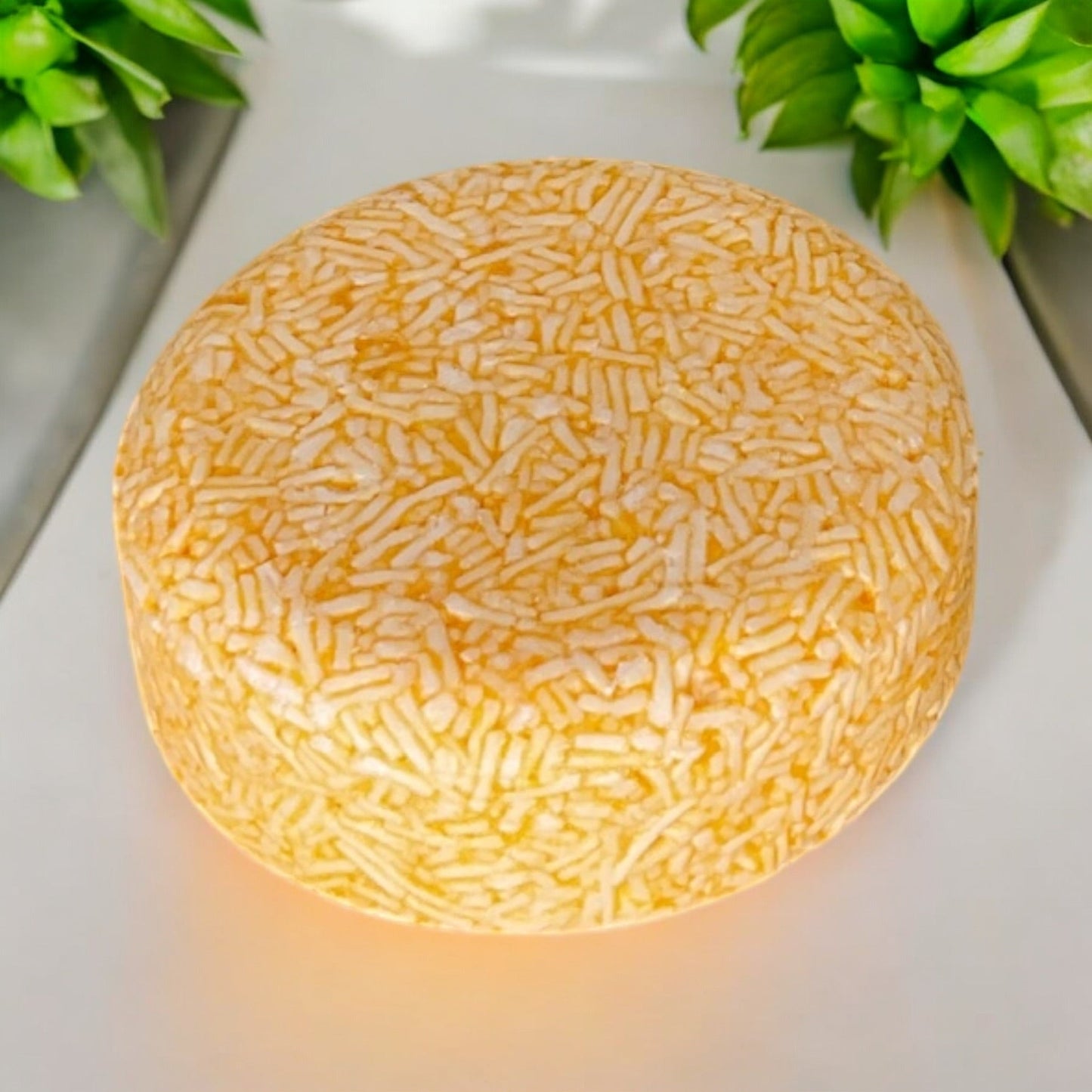 sustainable, zero waste, earth - friendly, plastic - free Shampoo Bar | Orange - Bamboo Switch