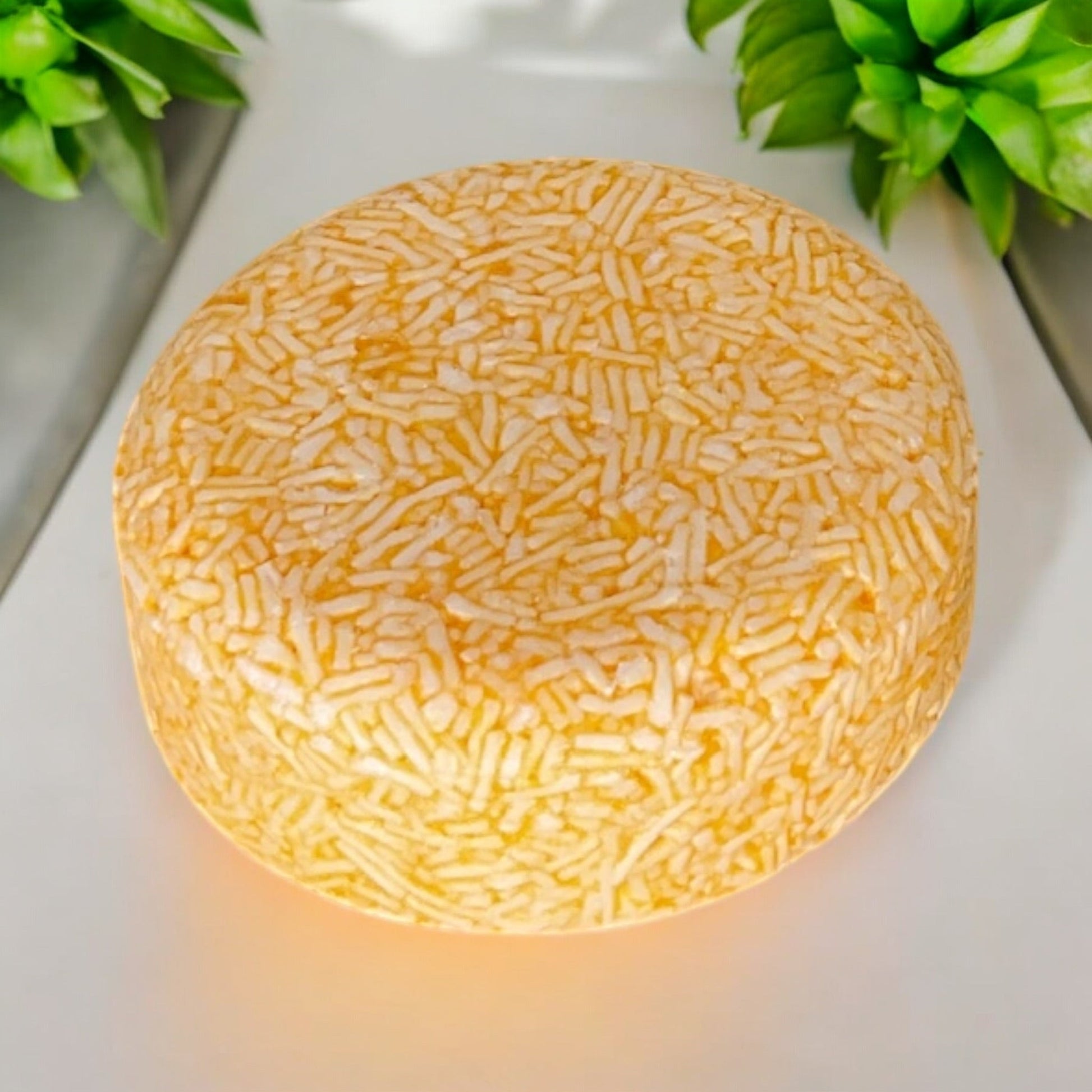 sustainable, zero waste, earth - friendly, plastic - free Shampoo Bar | Orange - Bamboo Switch