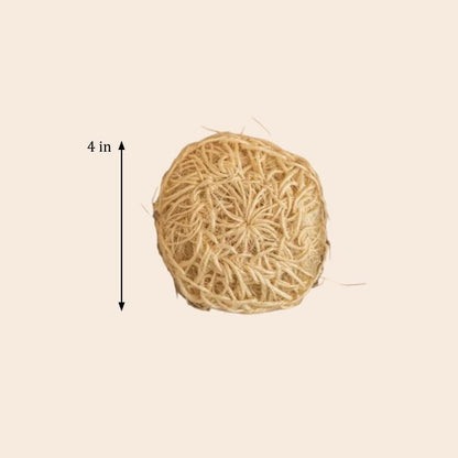 Sisal Exfoliating Body Scrubber - Bamboo Switch