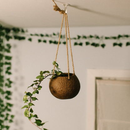 hanging bamboo planter pots Hanging Coconut Planter with Jute Twine