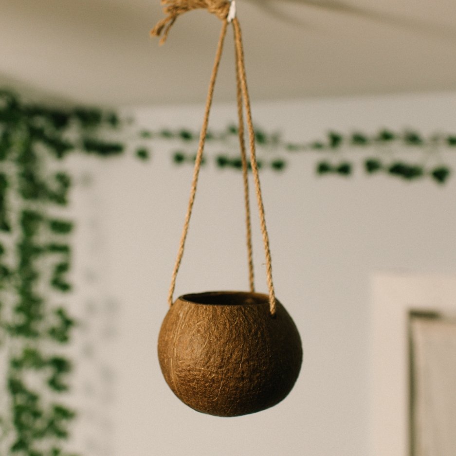 sustainable, zero waste, earth-friendly, plastic-free Coconut Planter with Jute Twine - Bamboo Switch